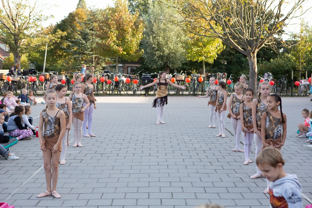 Schoolplein Festival A145.jpg
